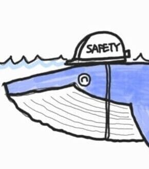 푸른고래 대표 이미지