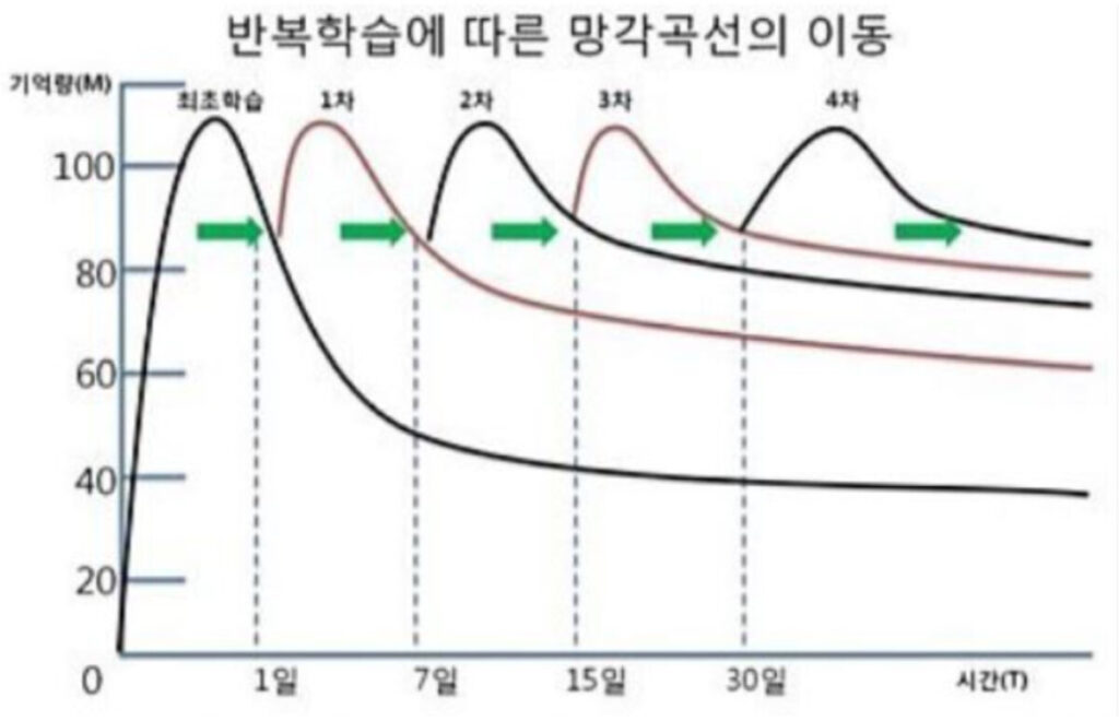 에빙하우스 망각곡선 이미지1